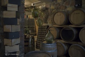 IMG_4272