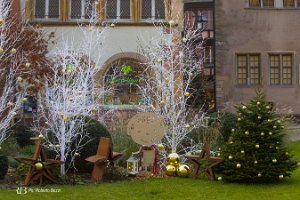 foto069