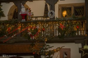 IMG_3610
