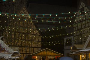 IMG_3617