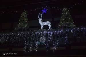 foto42