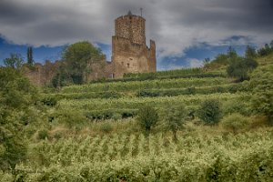 foto68