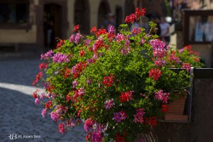 foto30