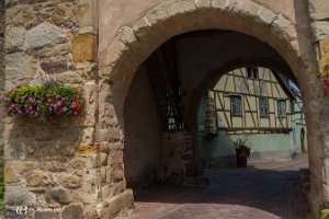 foto20