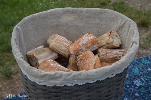 foto003