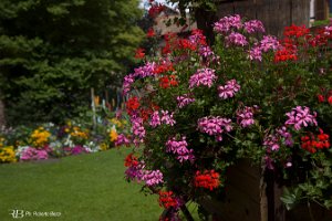 foto014