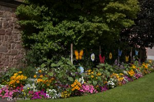 foto015