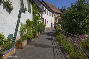 foto035