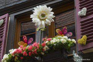 foto005_2