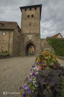 IMG_0675
