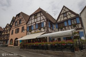 IMG_0693