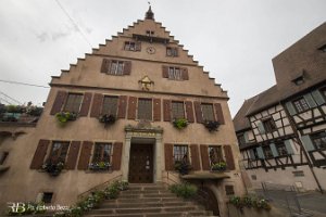 IMG_0701