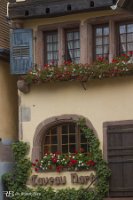 IMG_0718