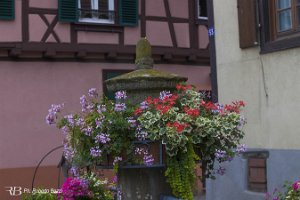 IMG_0734