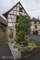 IMG_0787