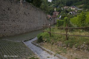 foto002