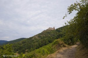 foto004