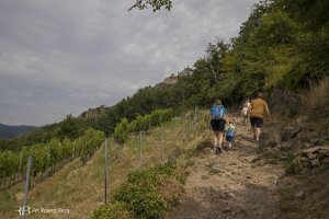 foto005