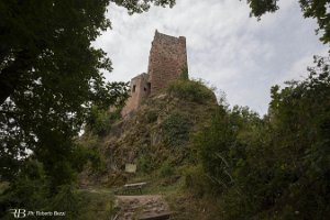 foto015
