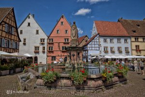 IMG_0174