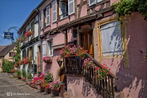 IMG_0179