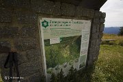 IMG_3200