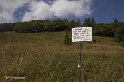 IMG_3201