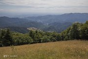 IMG_3202