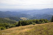 IMG_3212