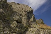IMG_3216