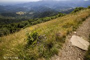 IMG_3220