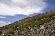 IMG_3225