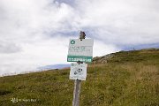 IMG_3230