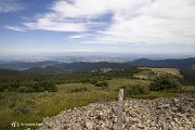 IMG_3232