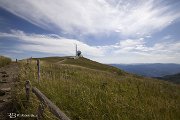 IMG_3257