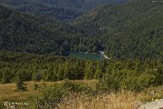 IMG_3262
