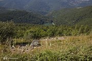 IMG_3273