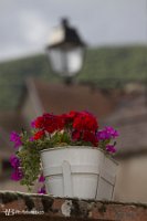 foto014