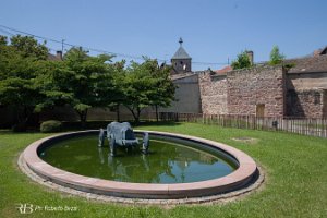 foto006
