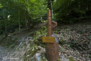 foto004