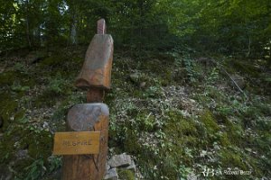 foto006