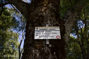 foto014